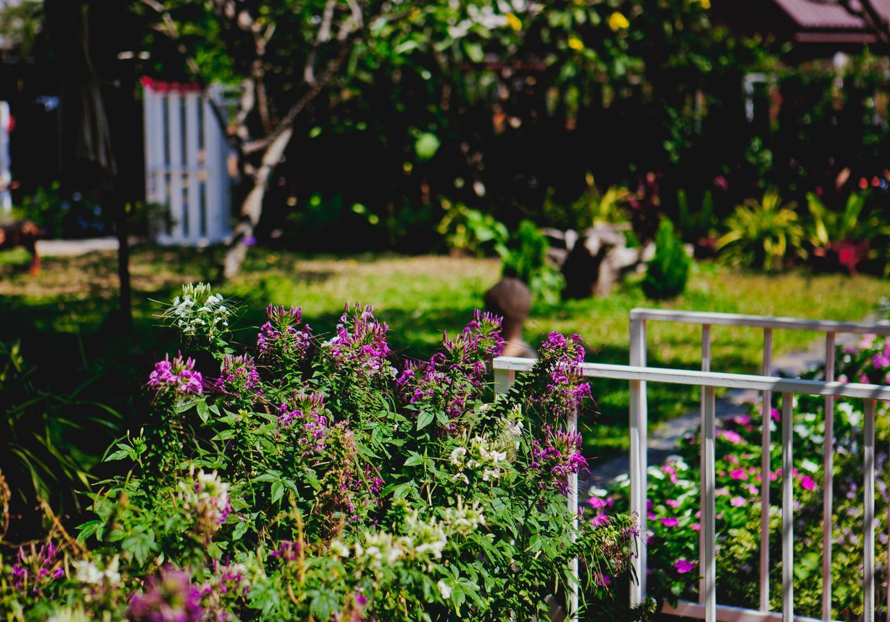 Manyi Boutique House Hotel Chiang Mai Buitenkant foto